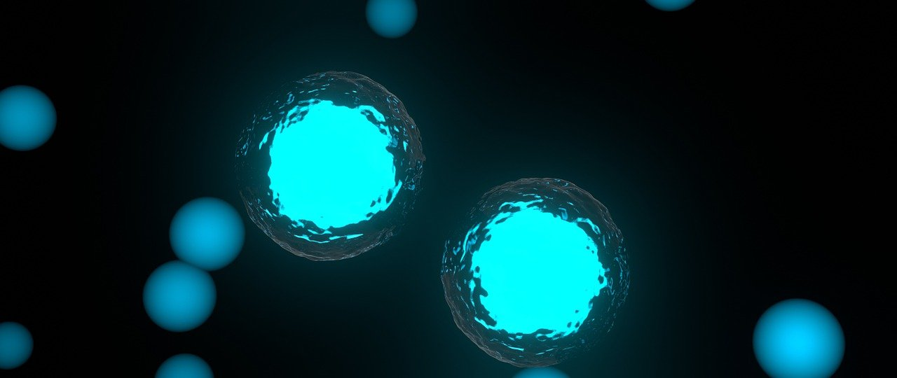 Pixabay Mitosis Cell Gb31b447a1 1280 6245bbbe32cf7