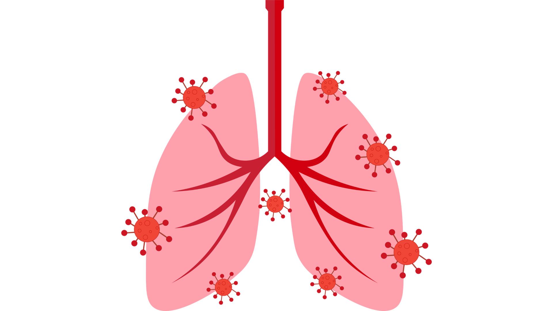 4 8 2022 11 10 35 Am 62505088b80bb