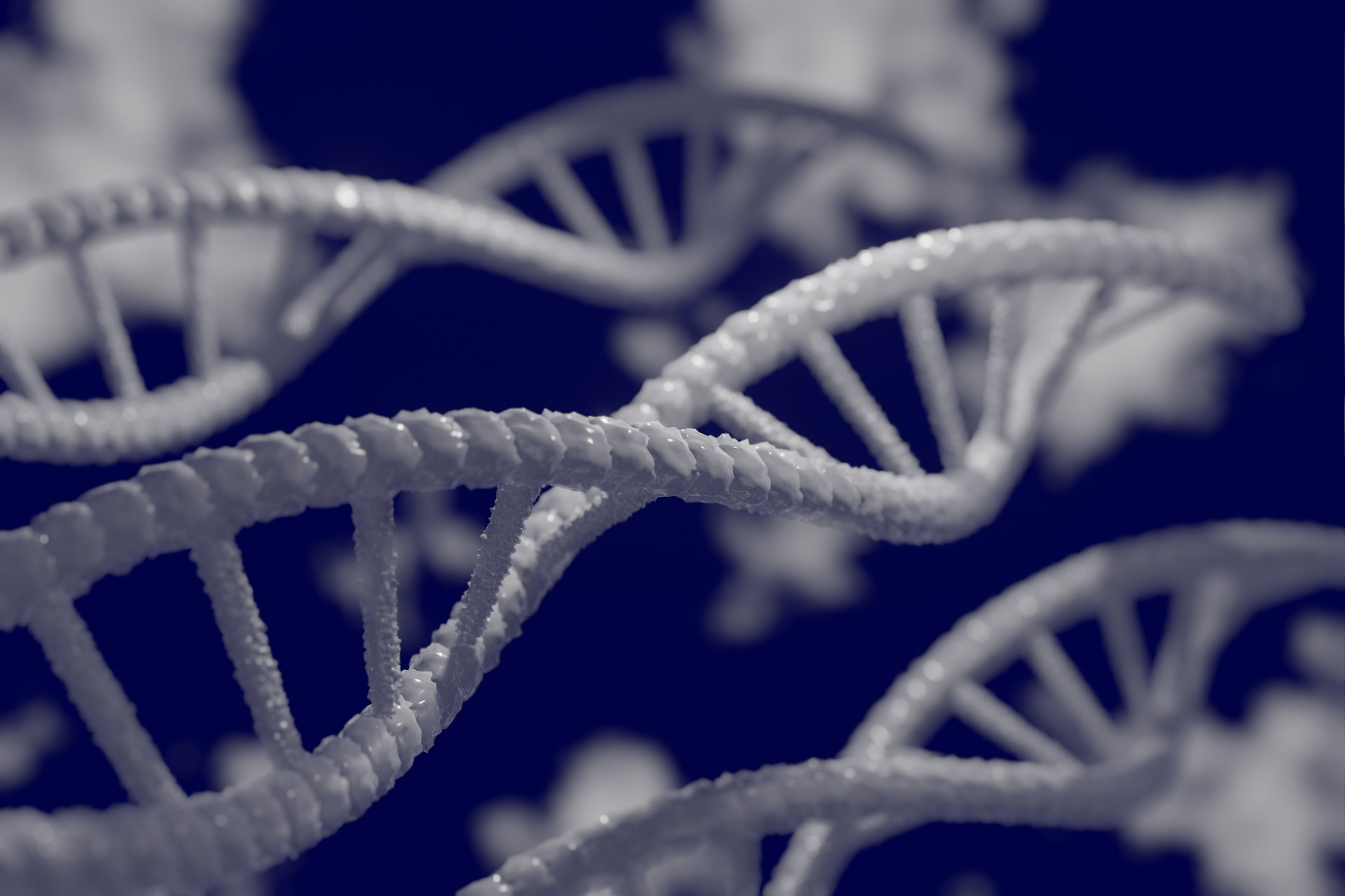 Pixabay Dna Gd101c0b69 1920 626018c79f5f1