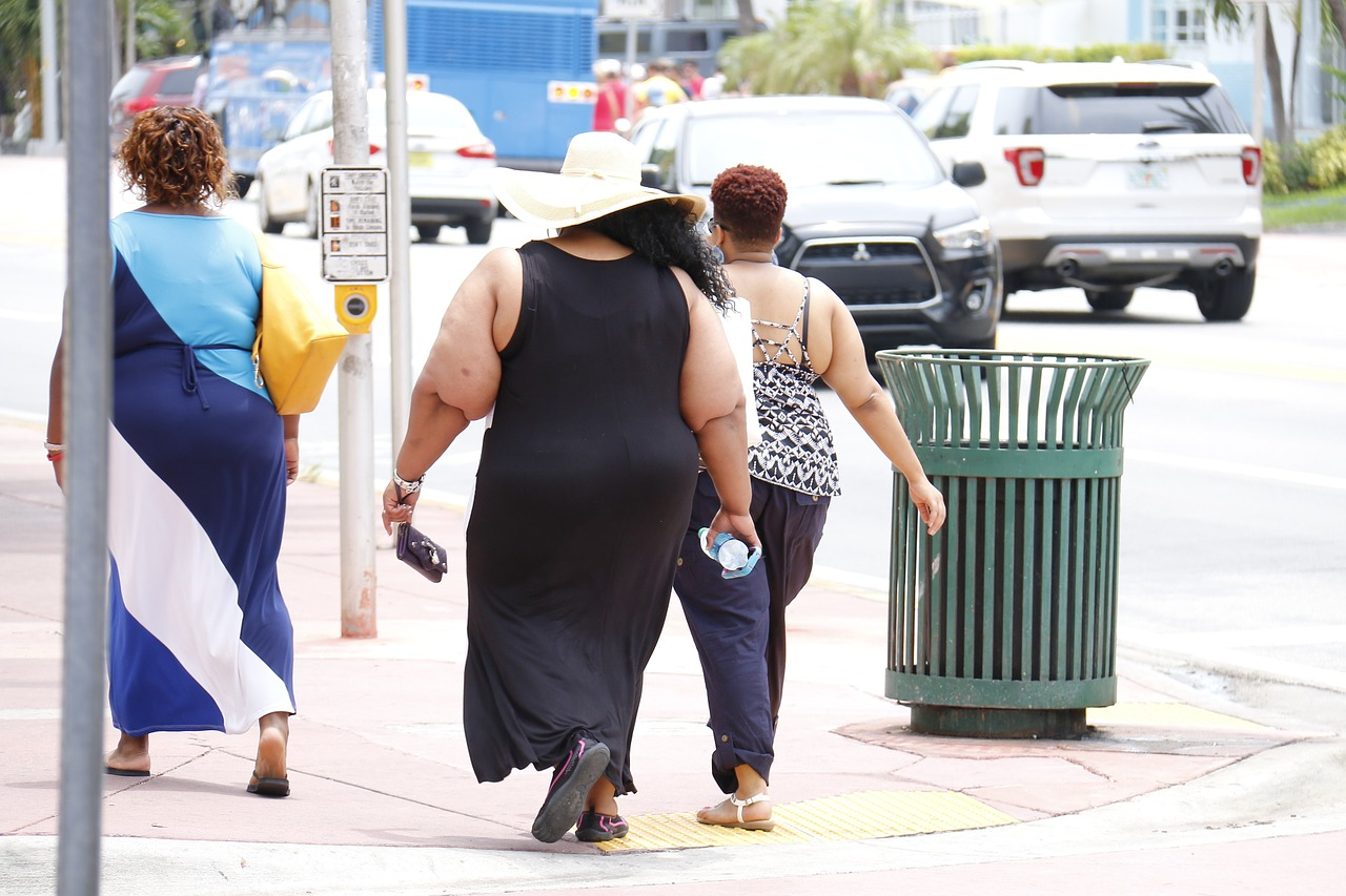 Pixabay Obesity G20372ed18 1280 624da3041408b