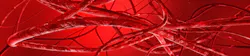 Adobe Blood Vessels Adobe Stock 280768609 62865cb7470e5 Adobe Blood Vessels Adobe Stock 280768609 62865cb7470e5