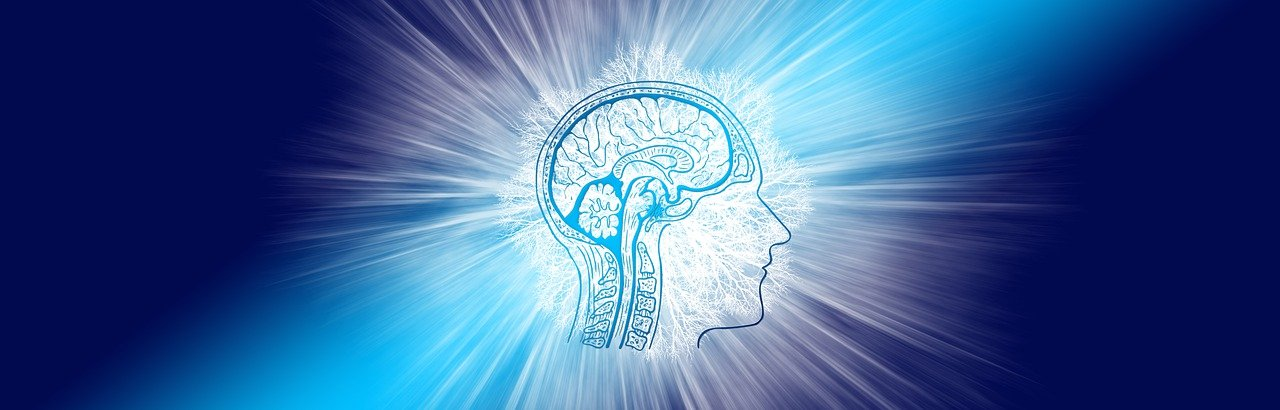 Pixabay Brain Intelligence G24e0c20f5 1280 6272841e077d5