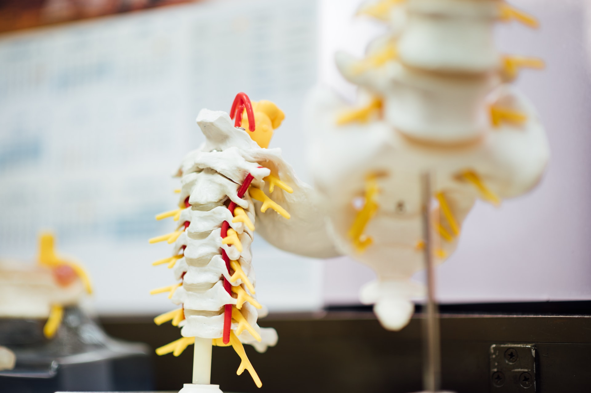 Unsplash Spine Chuttersnap 1e L99e G Xp0g Unsplash 62714df829708