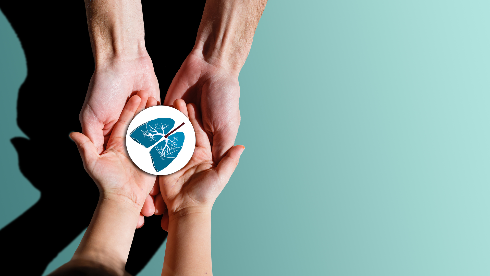 Adobe Stock 385705593 62d05285a3d23