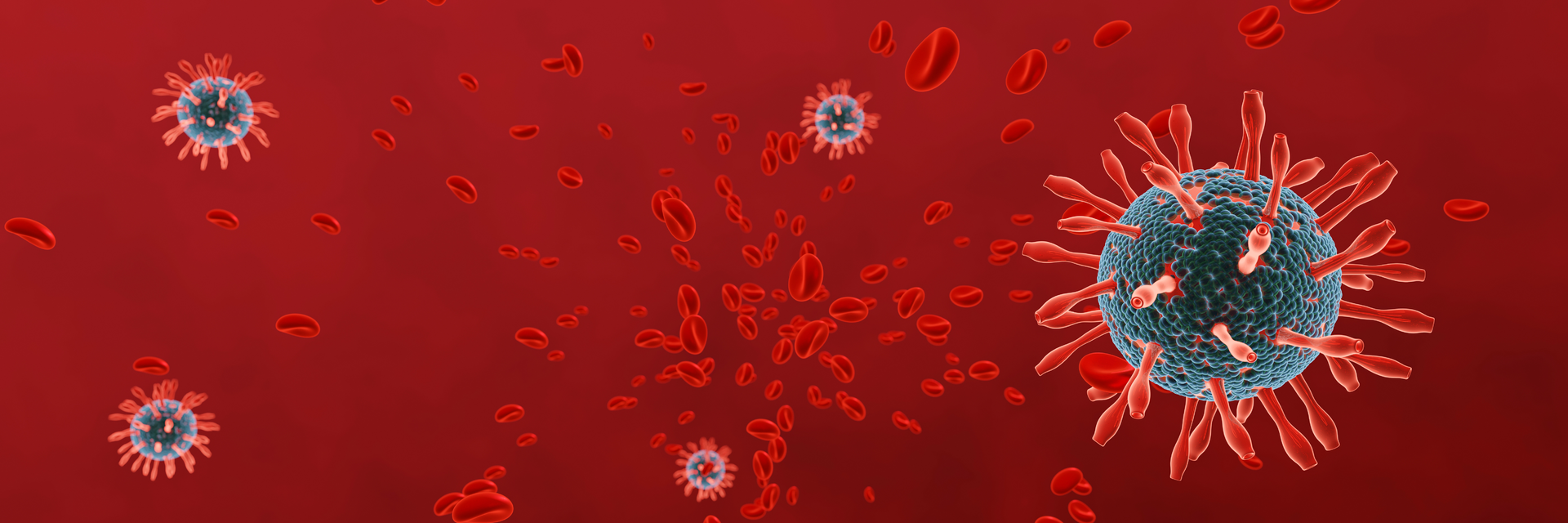 Adobe Stock 335317422 62d6decd10ad0