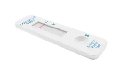 Adobe Rapid Test Adobe Stock 434109721 62c5c318edaae Adobe Rapid Test Adobe Stock 434109721 62c5c318edaae