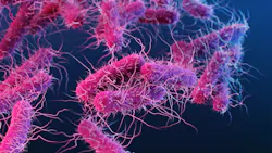 23242 62e962c31ed9d 23242 62e962c31ed9d