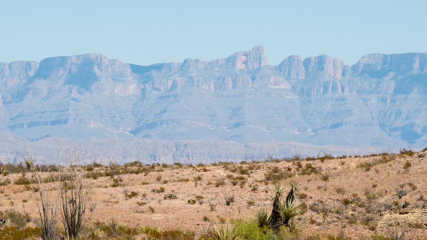 Adobe Stock 119299251