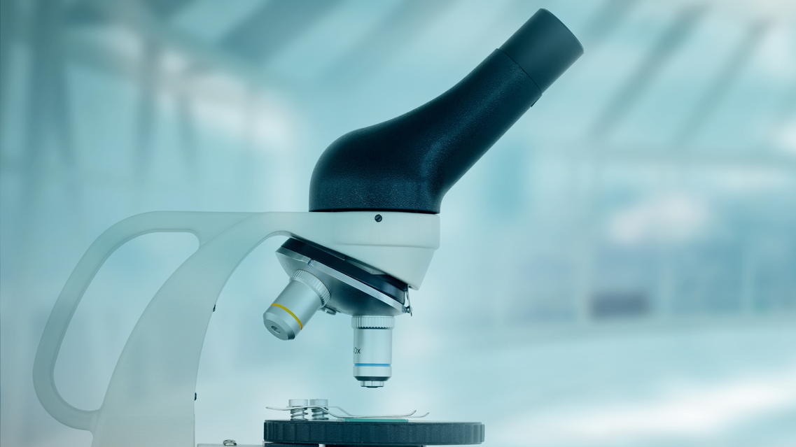 Adobe Stock 181108486