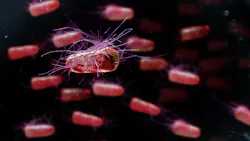 Adobe Stock 233837611 62fe657c0b850 Adobe Stock 233837611 62fe657c0b850