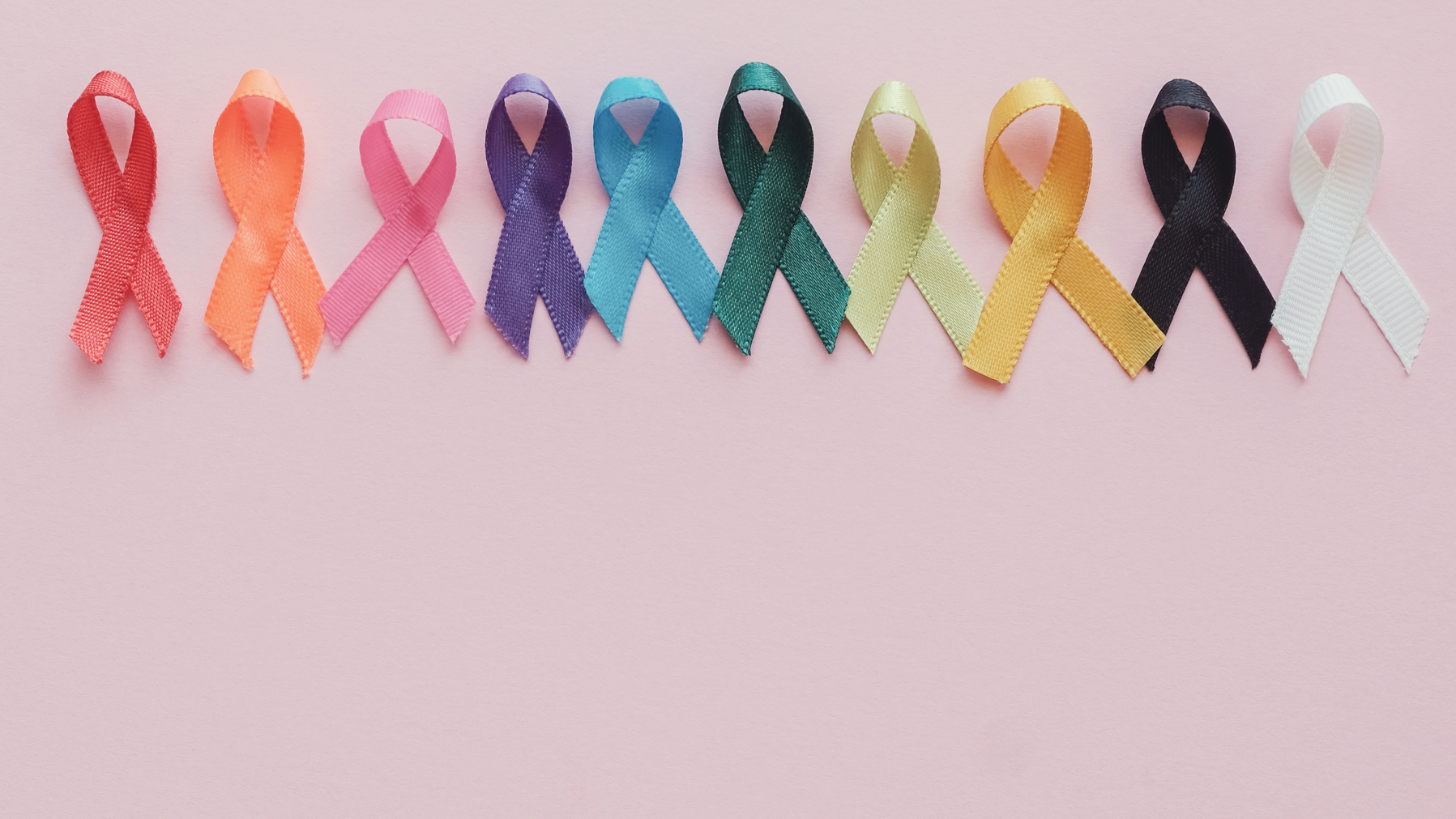 Adobe Stock 307527771 630cd28d47670