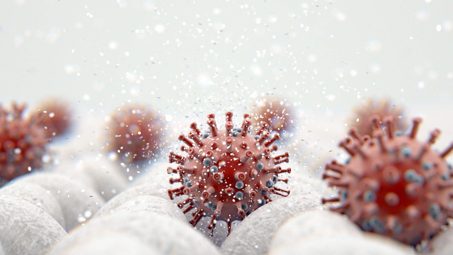 Adobe Stock 332876261 62fa58bd6e45d