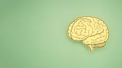 Adobe Stock 487258926 62f687a4b7ea1 Adobe Stock 487258926 62f687a4b7ea1