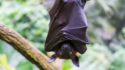 Adobe Stock 373493641 63175da0ed4f4 Adobe Stock 373493641 63175da0ed4f4