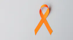 Adobe Stock 447331708 633461b4526d5 Adobe Stock 447331708 633461b4526d5