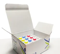 Viro Key Mpxv Pcr Test (1) Vela Dx Viro Key Mpxv Pcr Test (1) Vela Dx