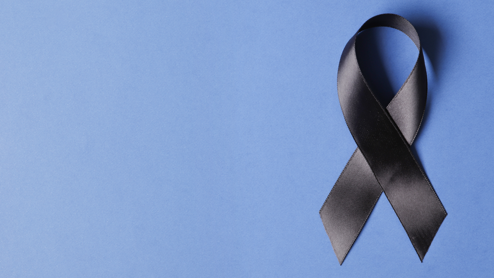 Adobe Stock 293139388 635a96db4a11b