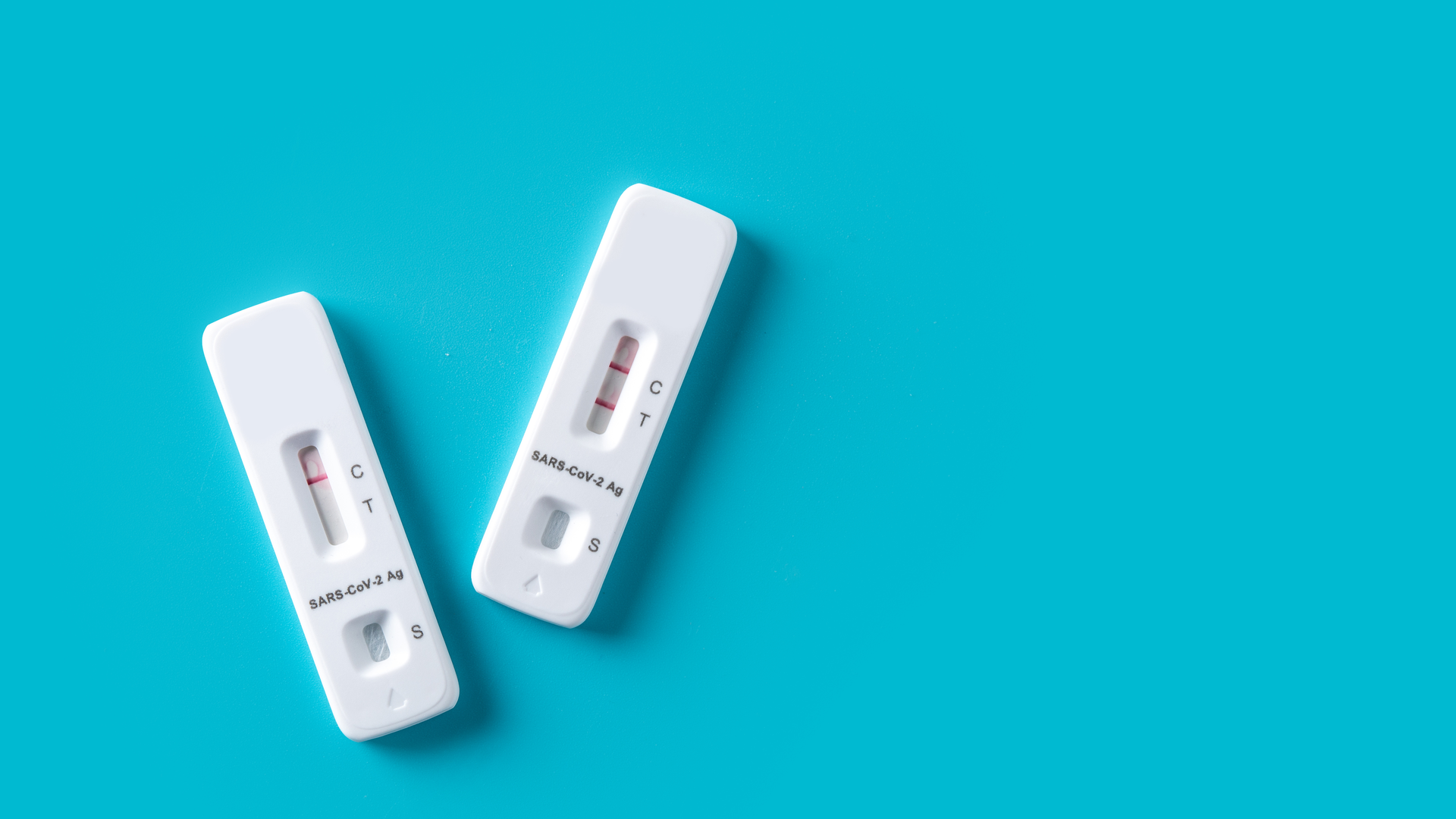 Adobe Stock 481349910 634987ba0dffd