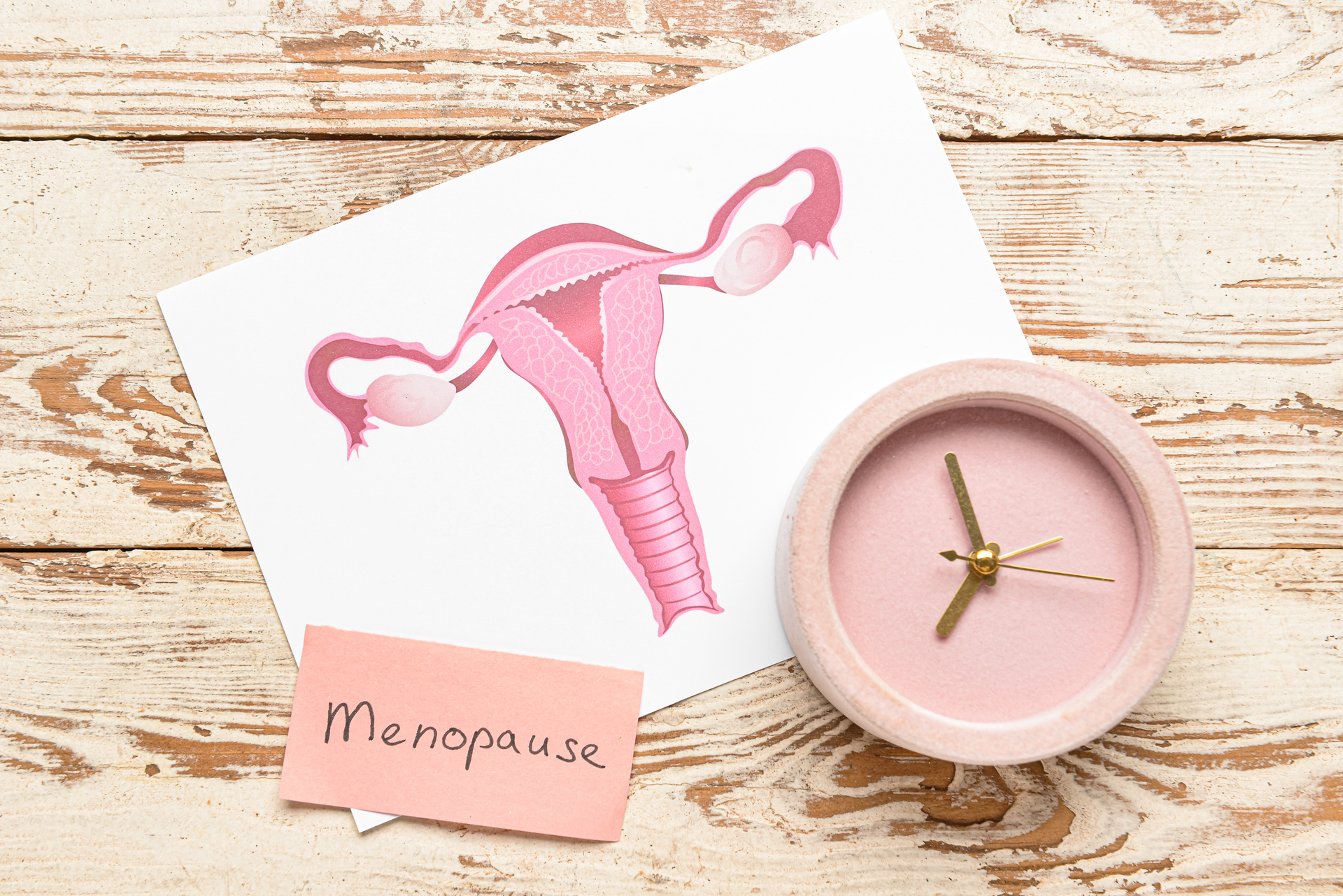 Adobe Stock 482752281 6352c09ef194b