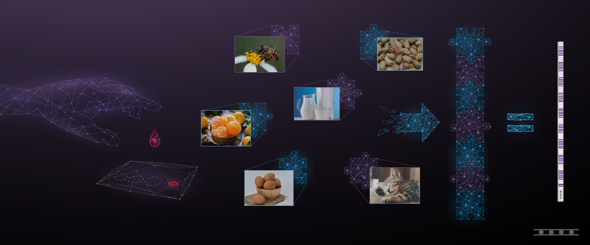 Allergy Image Mlo 63483575003c7