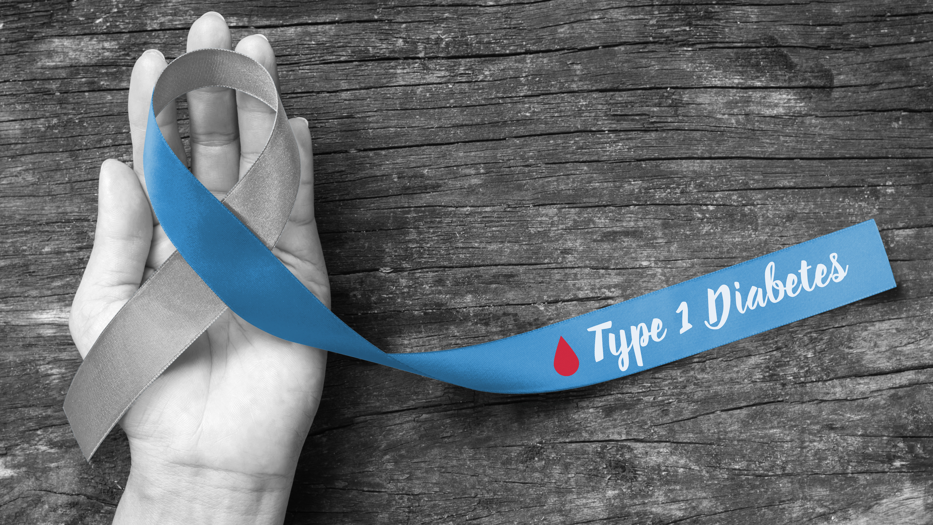 Adobe Stock 268603182 636290f47d756