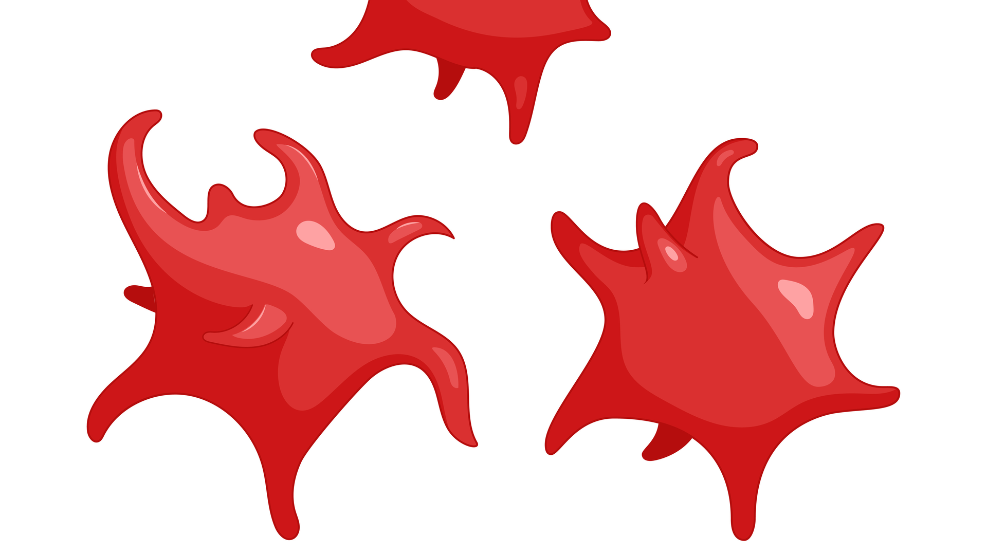 Adobe Stock 269899589 636e5b70e4eaf