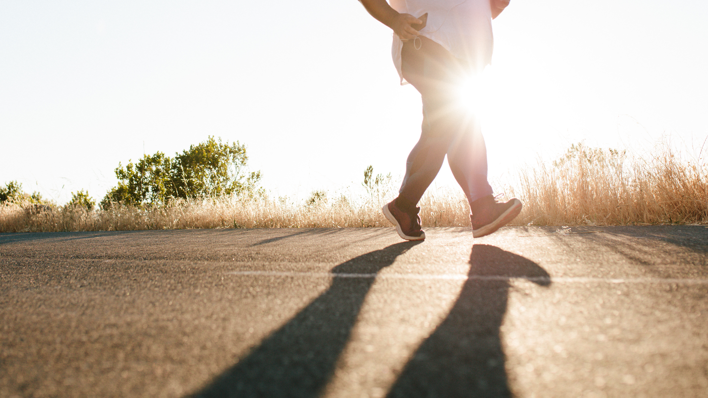 Adobe Stock 346166389 637400c8a19b8