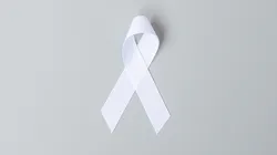 Adobe Stock 381089274 636e6135d4194 Adobe Stock 381089274 636e6135d4194