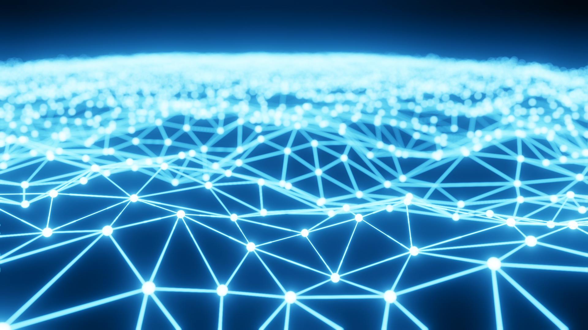 Adobe Stock 319985636 636bb7a14e216