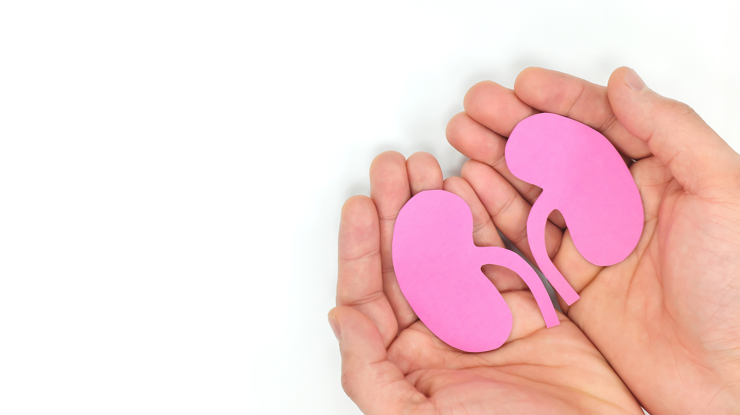 Adobe Stock 335229819 63a087155b9a9