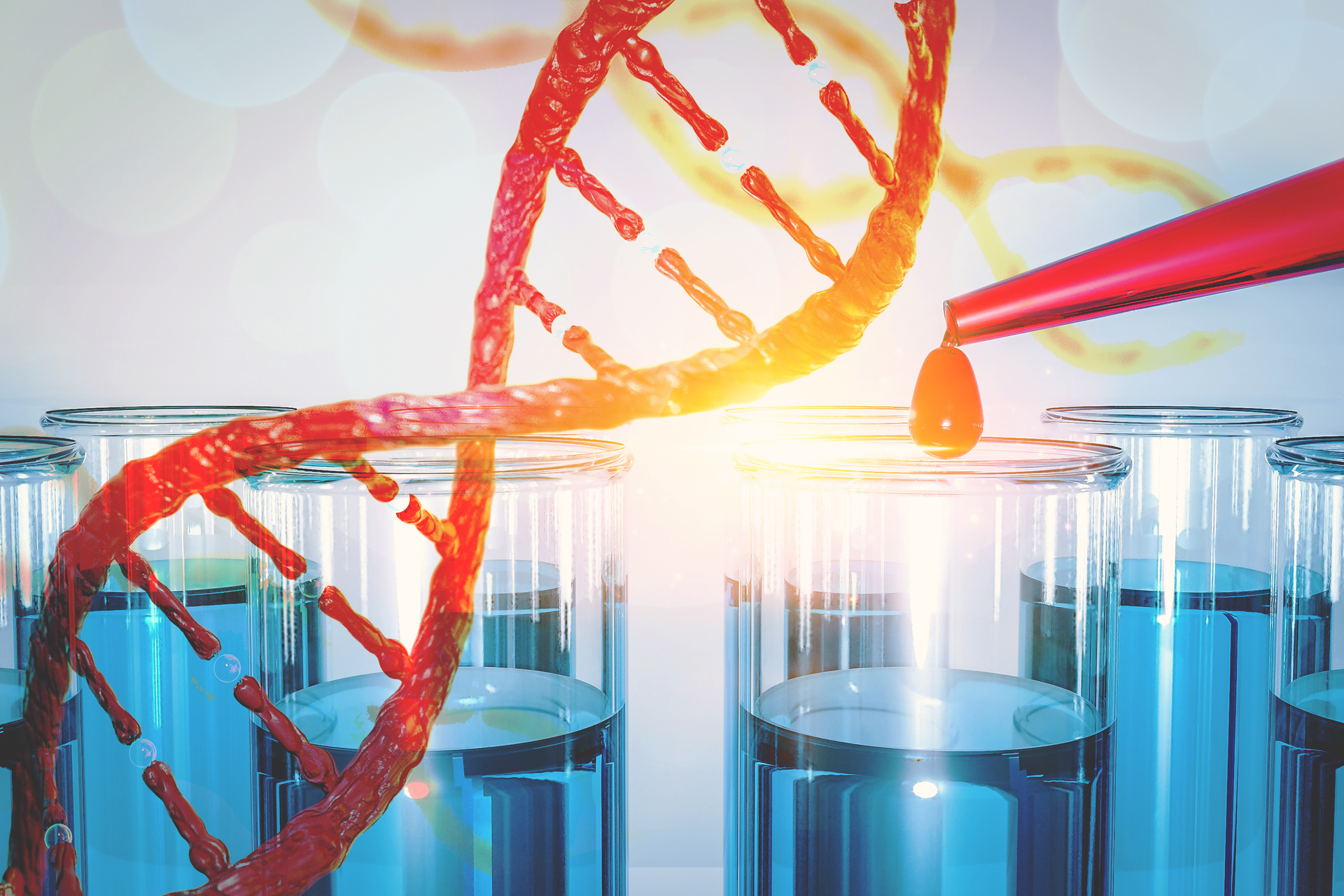 Adobe Stock 210188007 63ab544146b4d