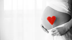 Adobe Stock 107615548 63b8457ae0c36 Adobe Stock 107615548 63b8457ae0c36