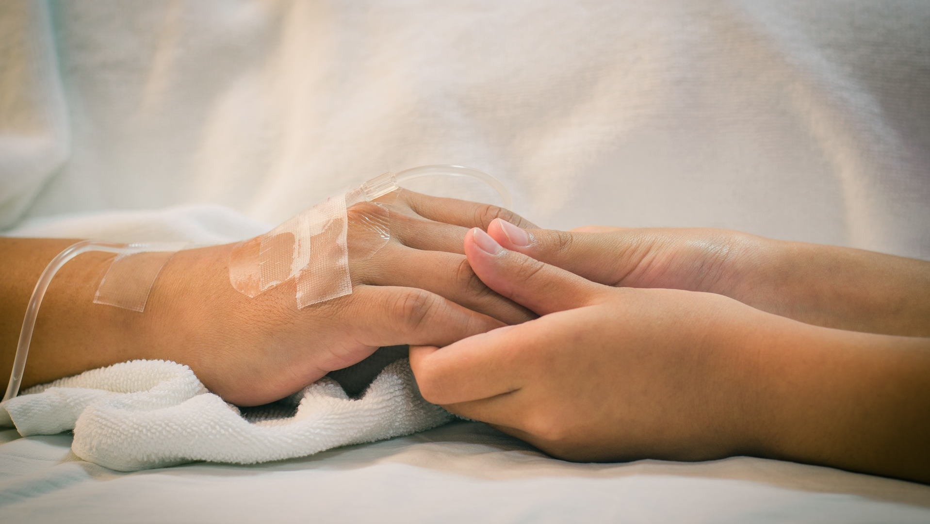 Adobe Stock 120392440 63b6f0a432493