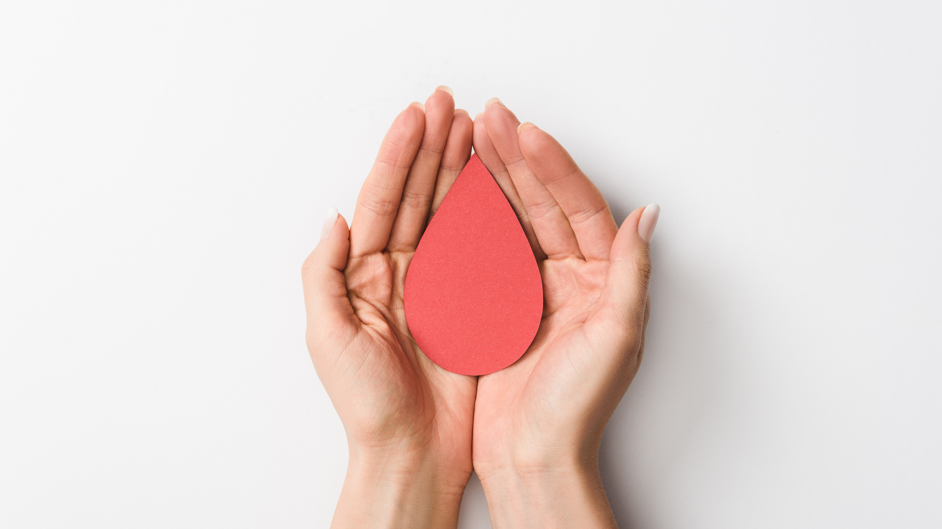 Adobe Stock 248236762 63bedae28330f