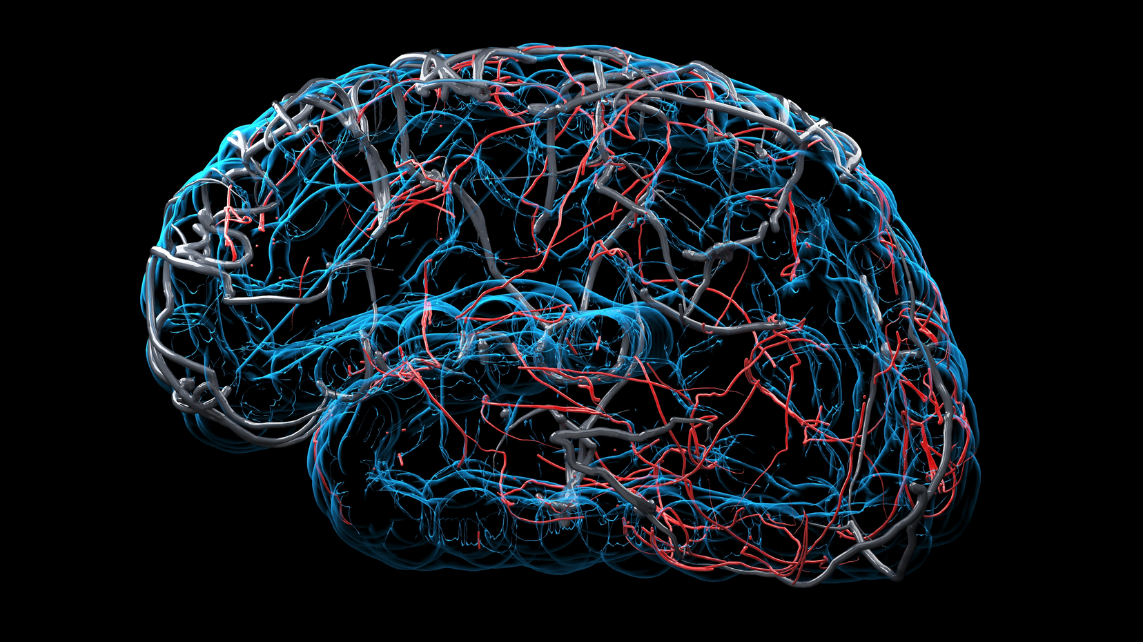 Adobe Stock 320444713 63b84385d9611