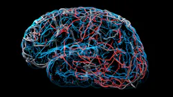 Adobe Stock 320444713 63b84385d9611 Adobe Stock 320444713 63b84385d9611