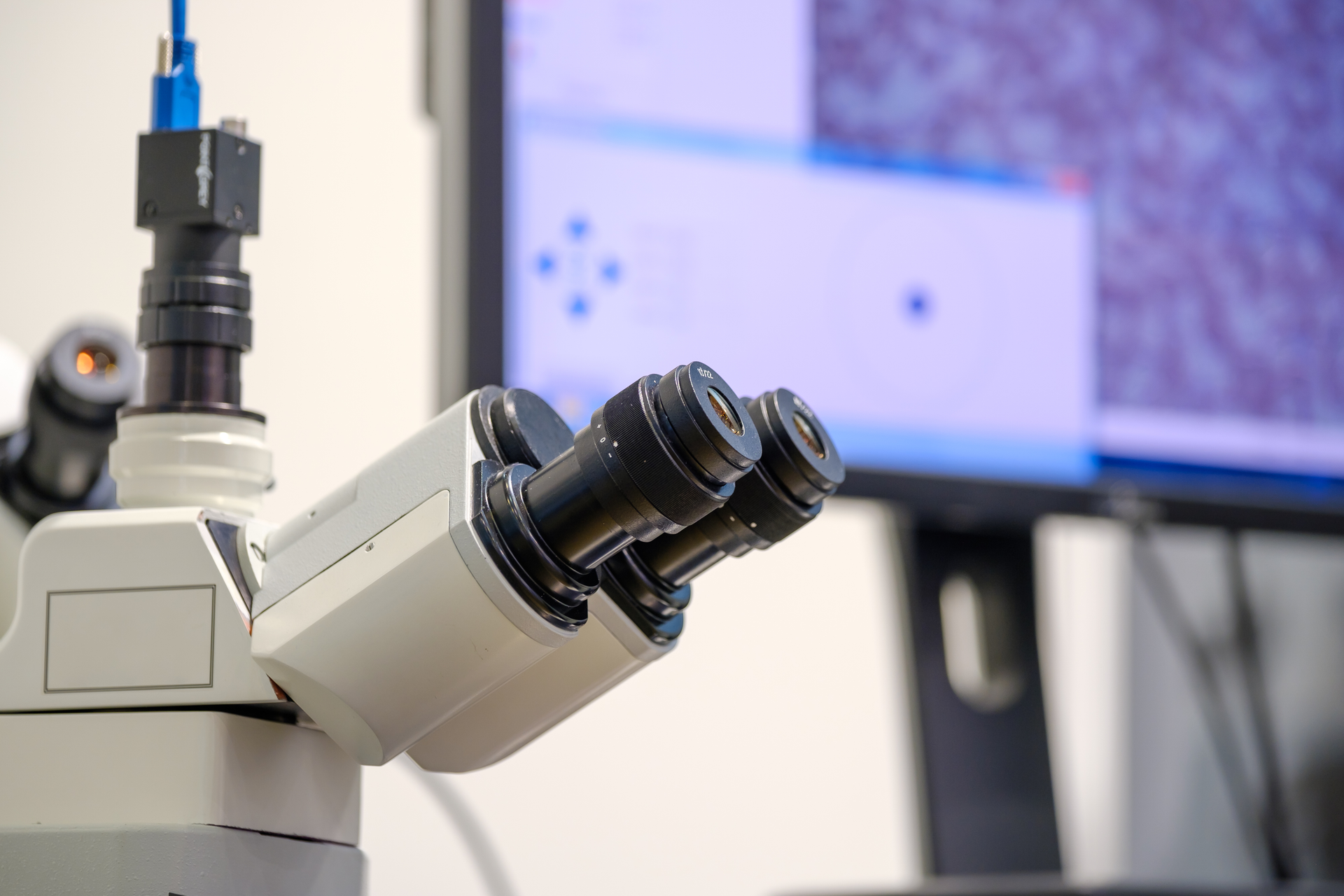 Dreamstime Xxl 107086721