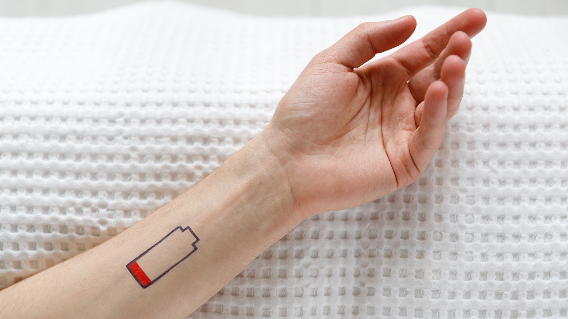 Dreamstime Xxl 170428784 63fe150b6736e