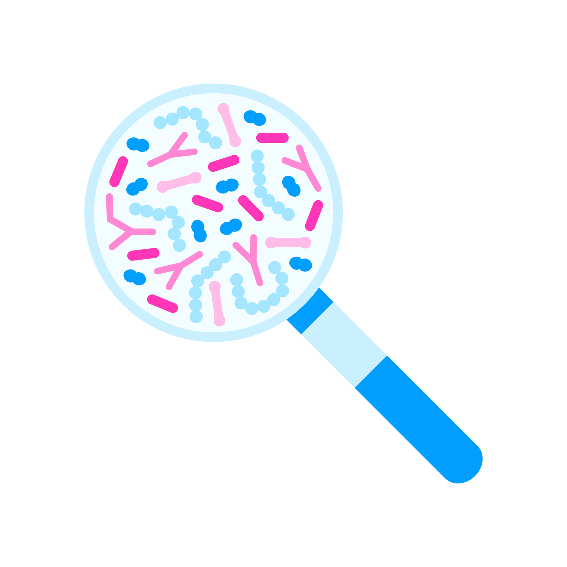 Adobe Stock 481338360 63da880785494