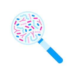 Adobe Stock 481338360 63da880785494 Adobe Stock 481338360 63da880785494