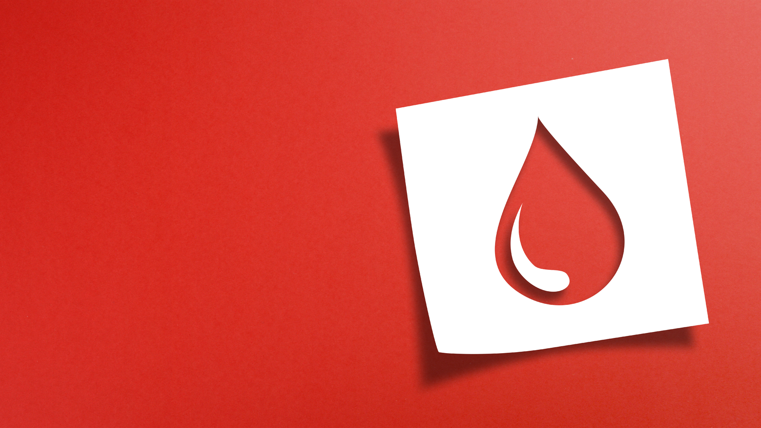 Dreamstime Xxl 224068585 6414c9a612a84