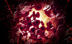 Dreamstime Xxl 38638406 6425d6640d375 Dreamstime Xxl 38638406 6425d6640d375