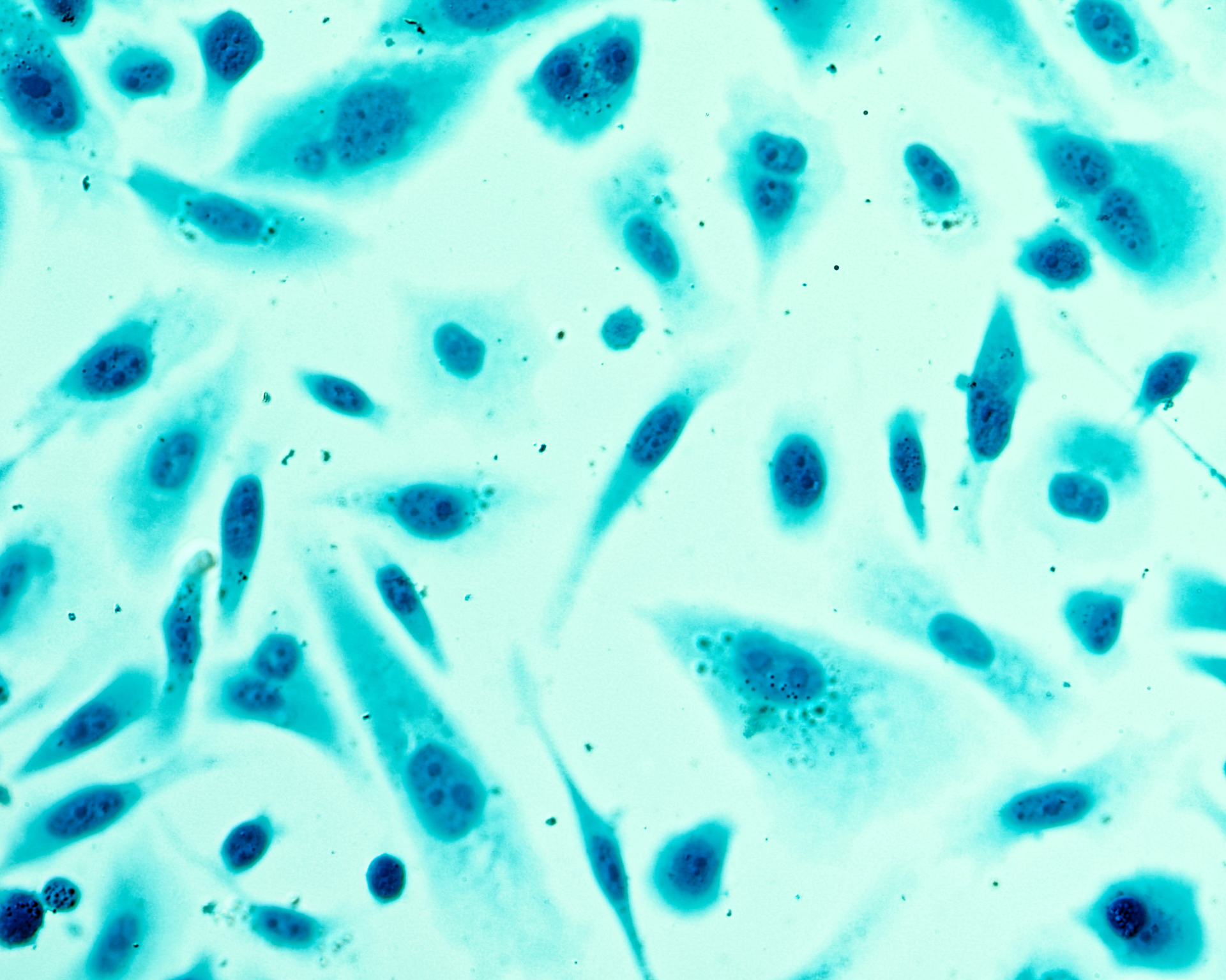 Dreamstime Xxl 71914836 6426e47b2b776