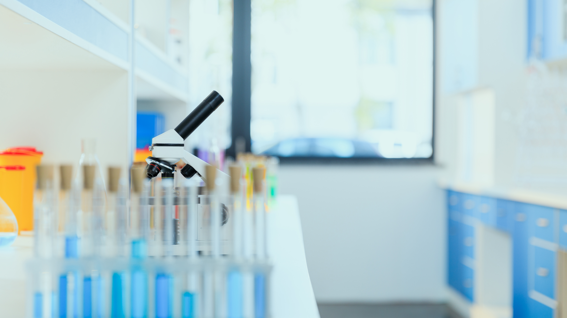 Dreamstime Xxl 94007814 6448070da1435