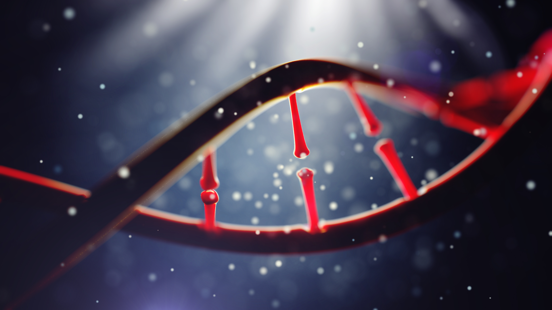 Dreamstime Xxl 76892879 6487860b0bfef