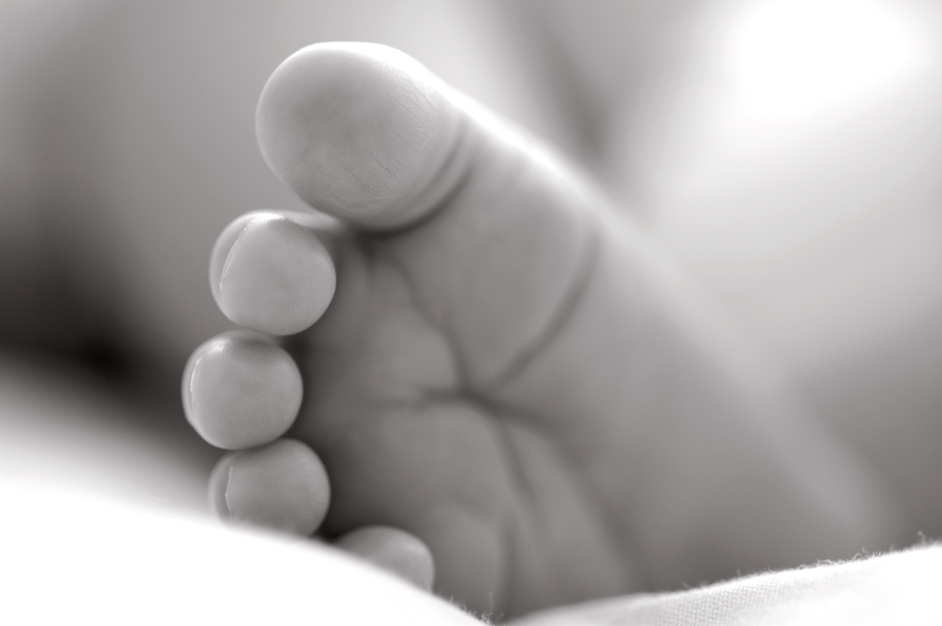 Dreamstime Xxl 7907526 6492fc952485a