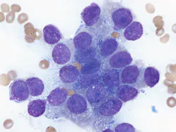 Dreamstime Xxl 281102383 64de3adf0bd46 Dreamstime Xxl 281102383 64de3adf0bd46