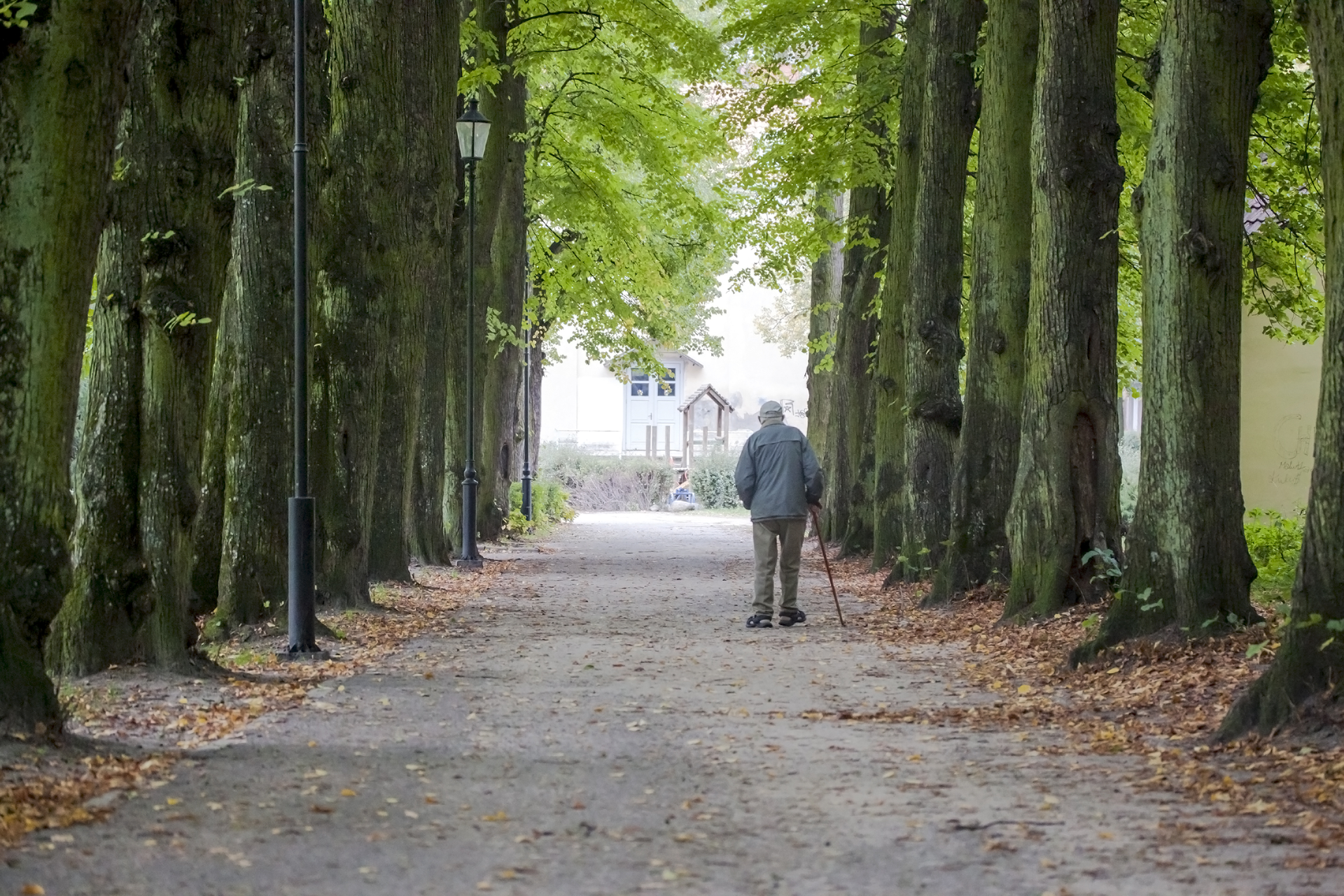 Dreamstime Xxl 126565397 650b07edc35ac