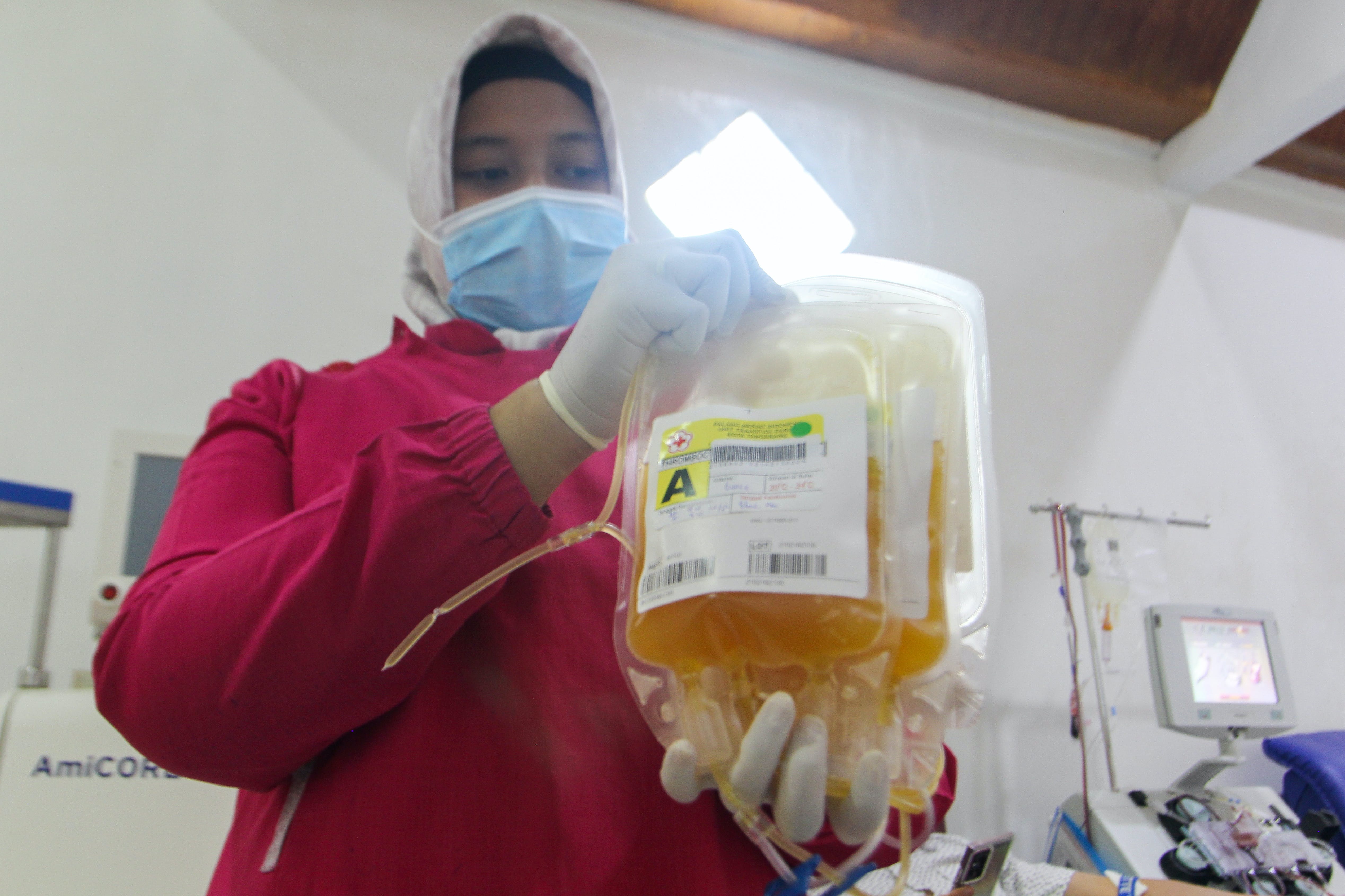 654010de1004bb001e4a196c Dreamstime Xxl 221219761