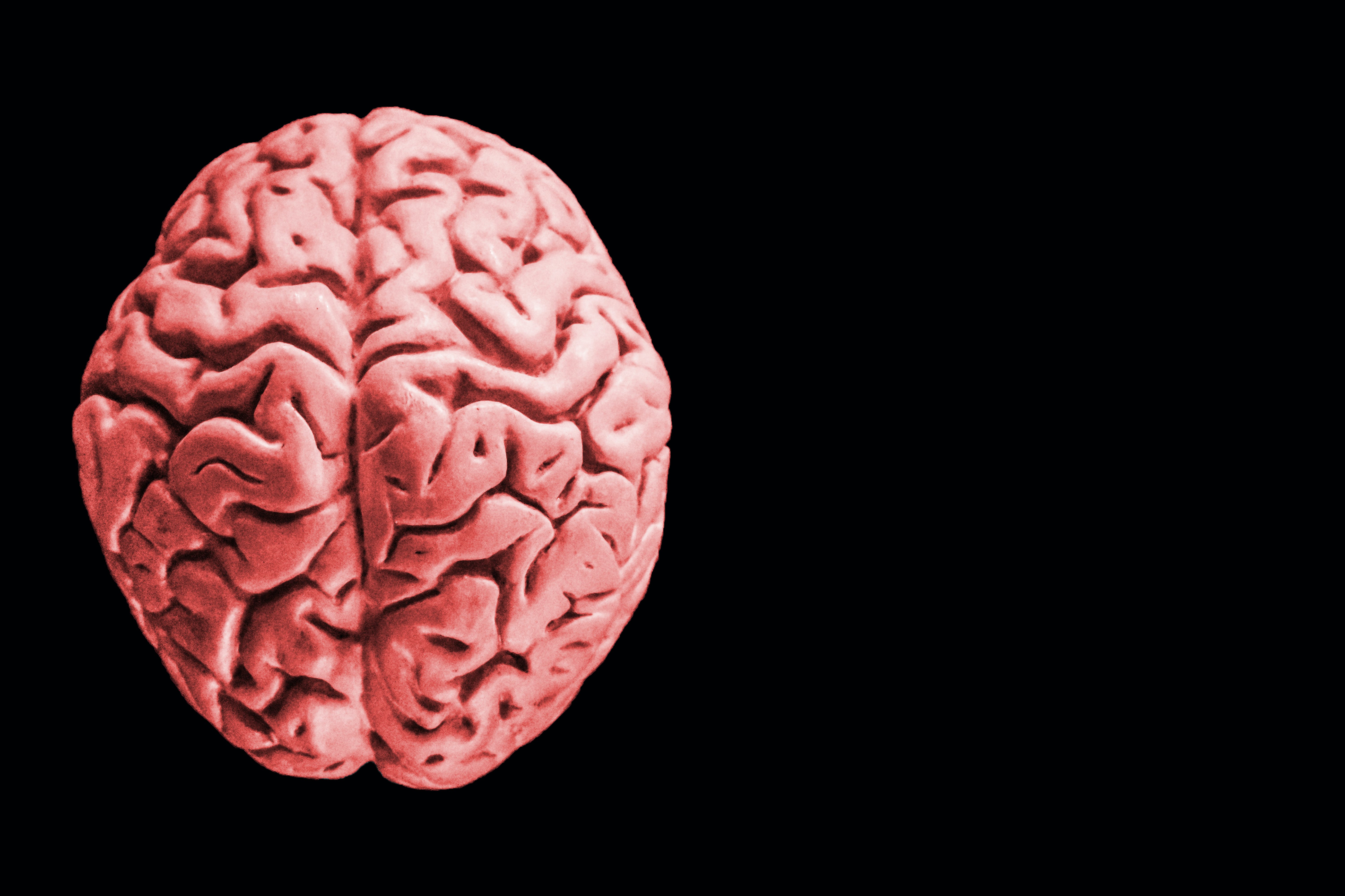 654d1bbd12f531001eee3b48 Dreamstime Xxl 151466687